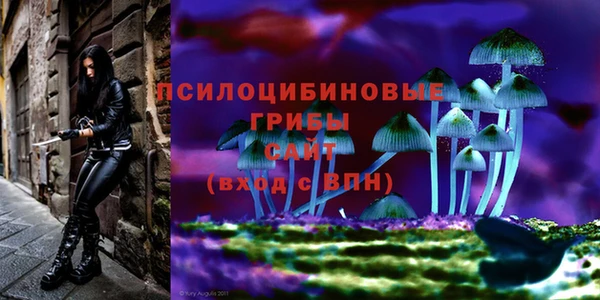 круглые Алексин