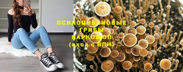 дурь Алзамай