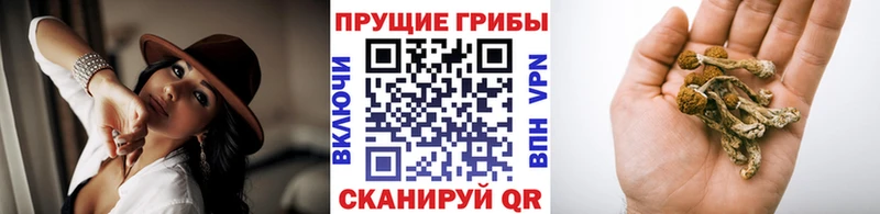 Псилоцибиновые грибы ЛСД  Александровское 